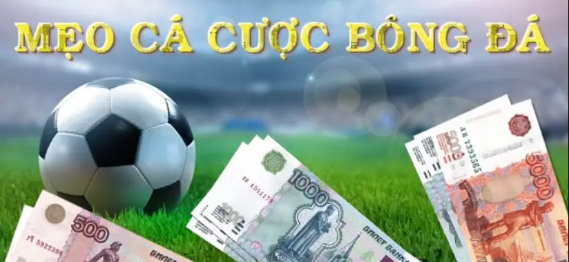 Những mẹo cá cược trên sân cỏ mà bạn không nên bỏ lỡ